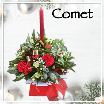 Comet Christmas Flowers 