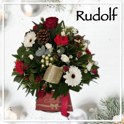 Rudolf Christmas Flowers 