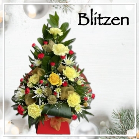 Blitzen Christmas Flowers 