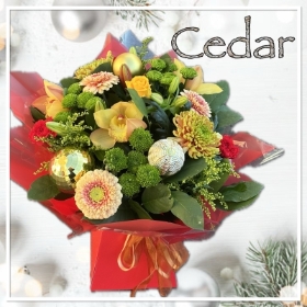 Cedar Christmas Flowers Colchester 